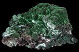 Fibrous Malachite Crystals - Congo #67446-2